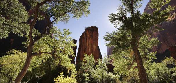 Man dies after fall while rappelling in Zion National Park canyon