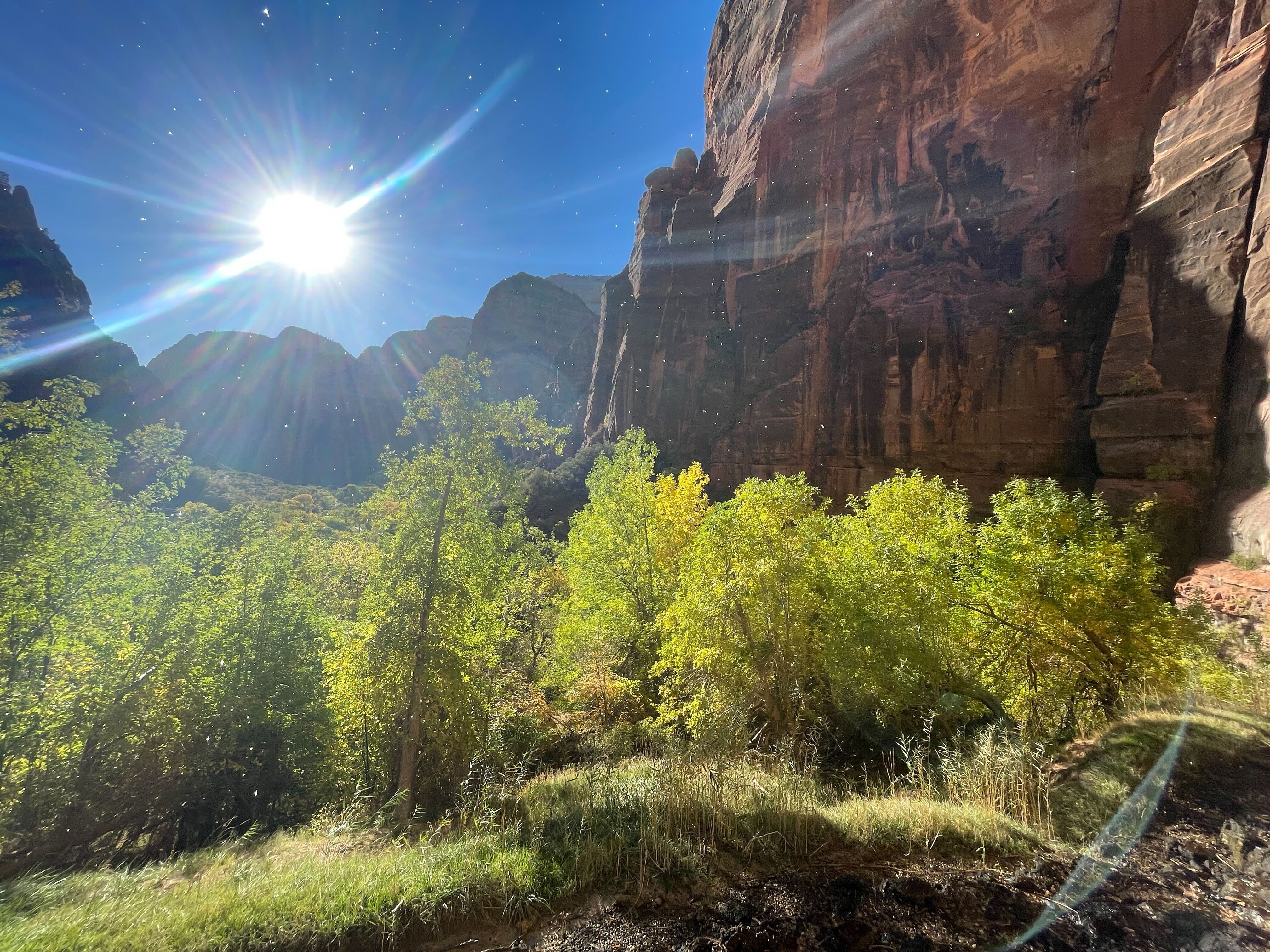 Zion National Park on Sunday. A man died Sunday after falling while rappelling in Zion National Park's Pine Creek Canyon, according to the Department of the Interior.