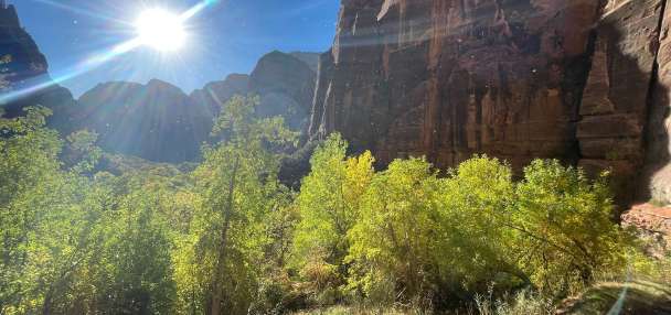 Man dies after fall while rappelling in Zion National Park canyon