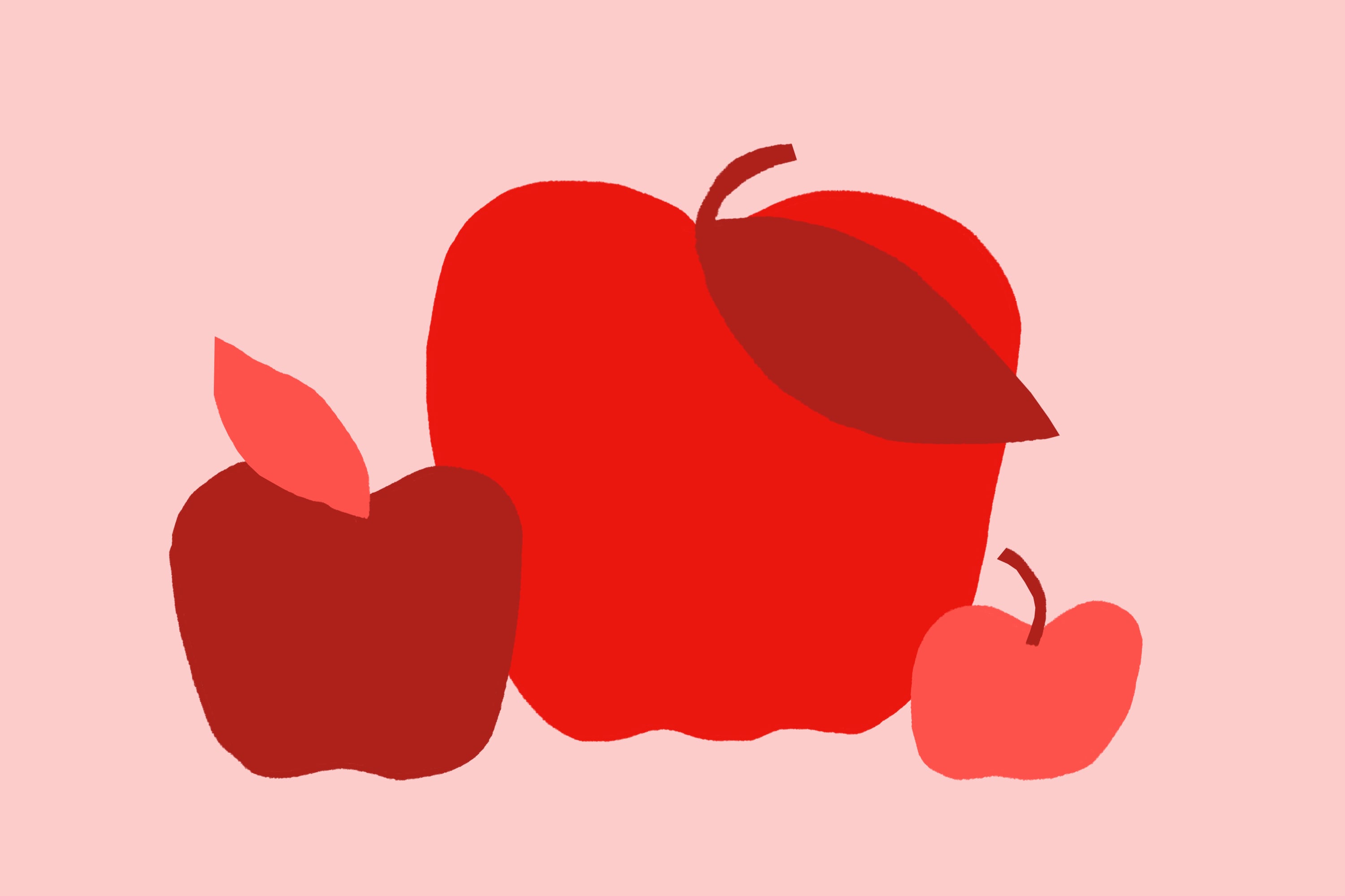 Should Utah's Granite School District be split in half?