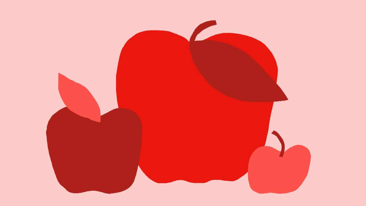 Should Utah's Granite School District be split in half?