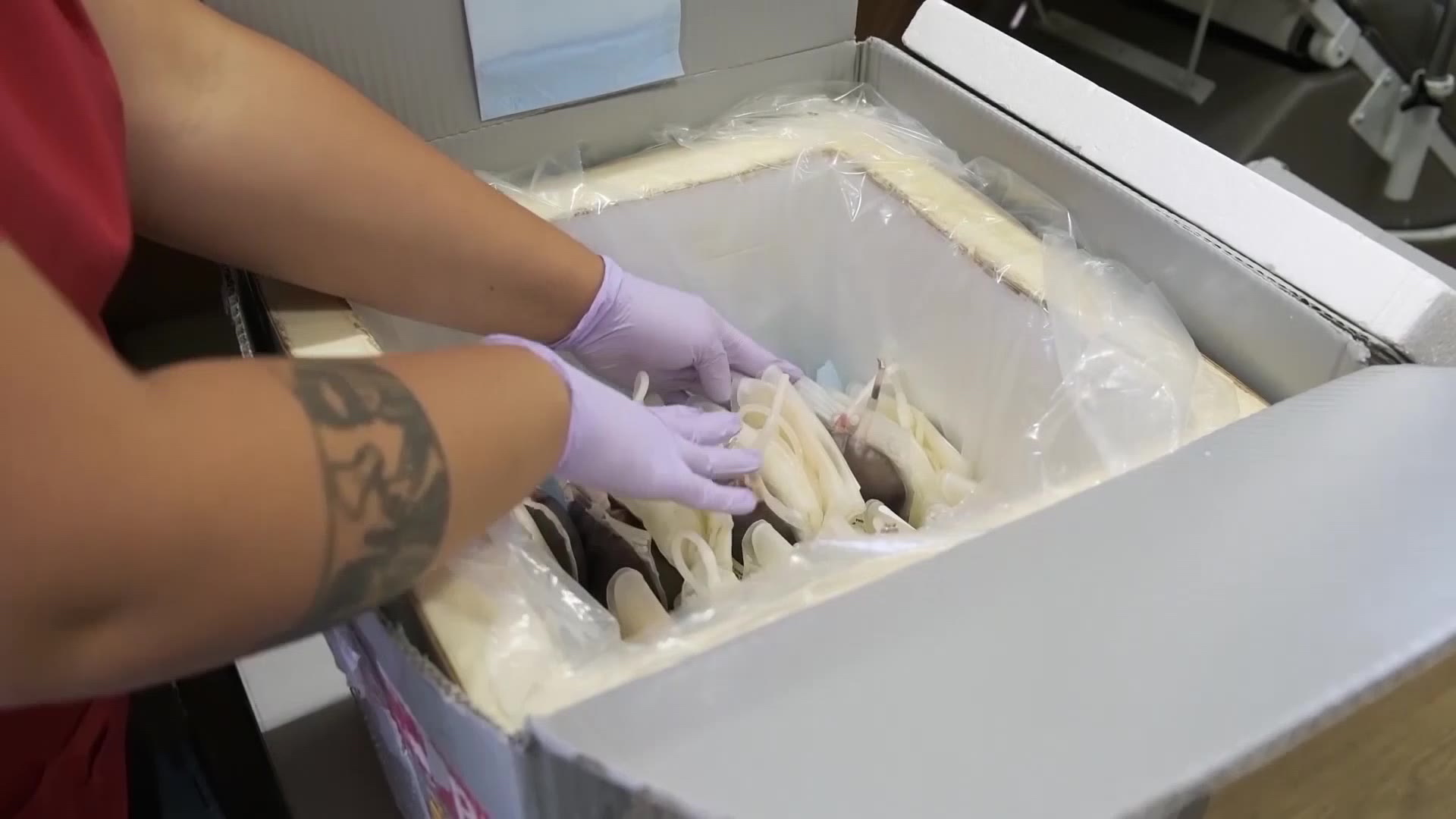 Blood bags are kept near frozen to make sure they stay fresh, Tuesday, in West Valley. West Valley City firefighters are now prepared to give blood transfusions on scene.