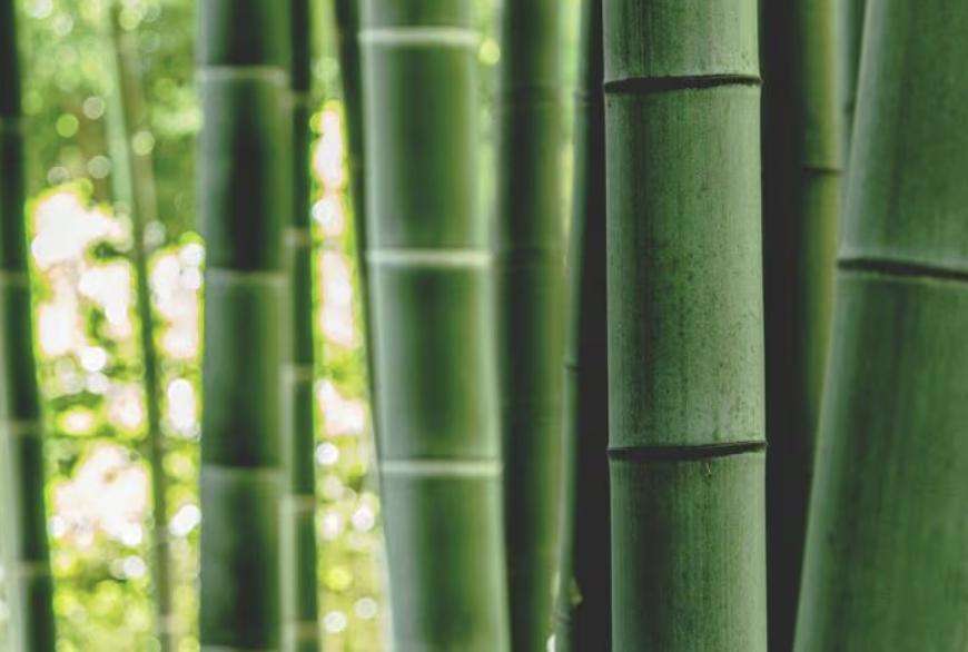 The game-changing material that's improving overall comfort