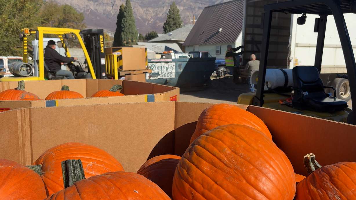 Tri-City Exchange gets a donation in hundreds of pumpkins, Oct. 24, in North Ogden. The exchange is seeking non-perishable food items and even cash donations to help cope with a surge in demand.