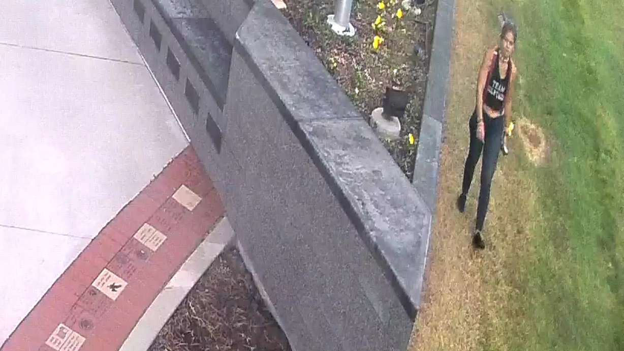 A person is shown on surveillance footage near the Vietnam War Memorial Wall inside Commons Park in Layton on Oct. 3. Police are asking for assistance in locating the individual they suspect of vandalism.