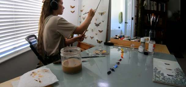 The insect artist: How this Utah bug lover made it a business