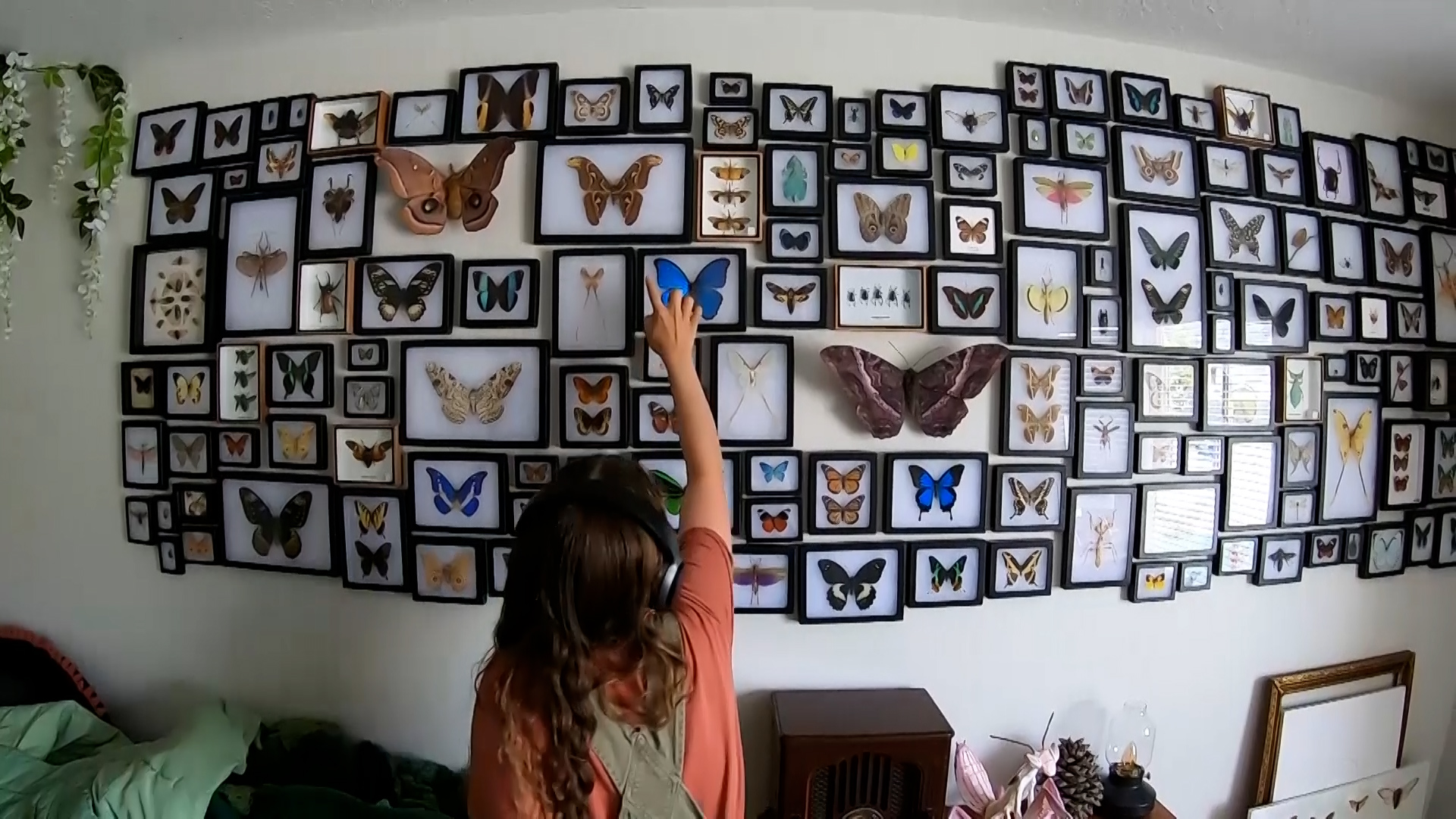 Nicole Parish shows off her insect collection at her home in Salt Lake, Thursday. Parish and her brother have been fascinated with insects from a young age.