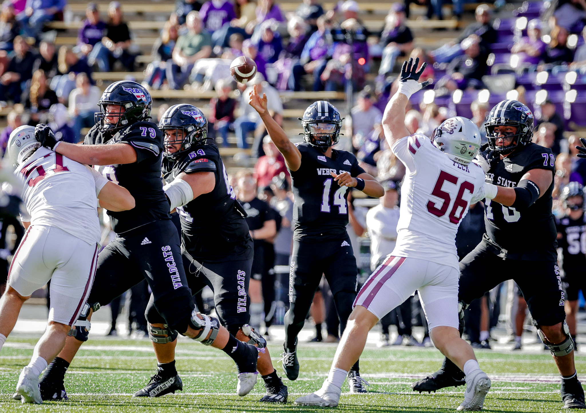Weber State drops to 3-6 after 38-17 loss to Montana