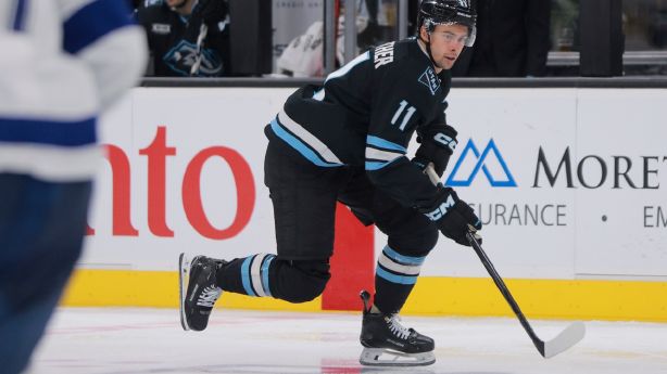 Panthers’ past due function sinks Mammoth, who drop third directly Panthers’ past due function sinks Mammoth, who drop third directly