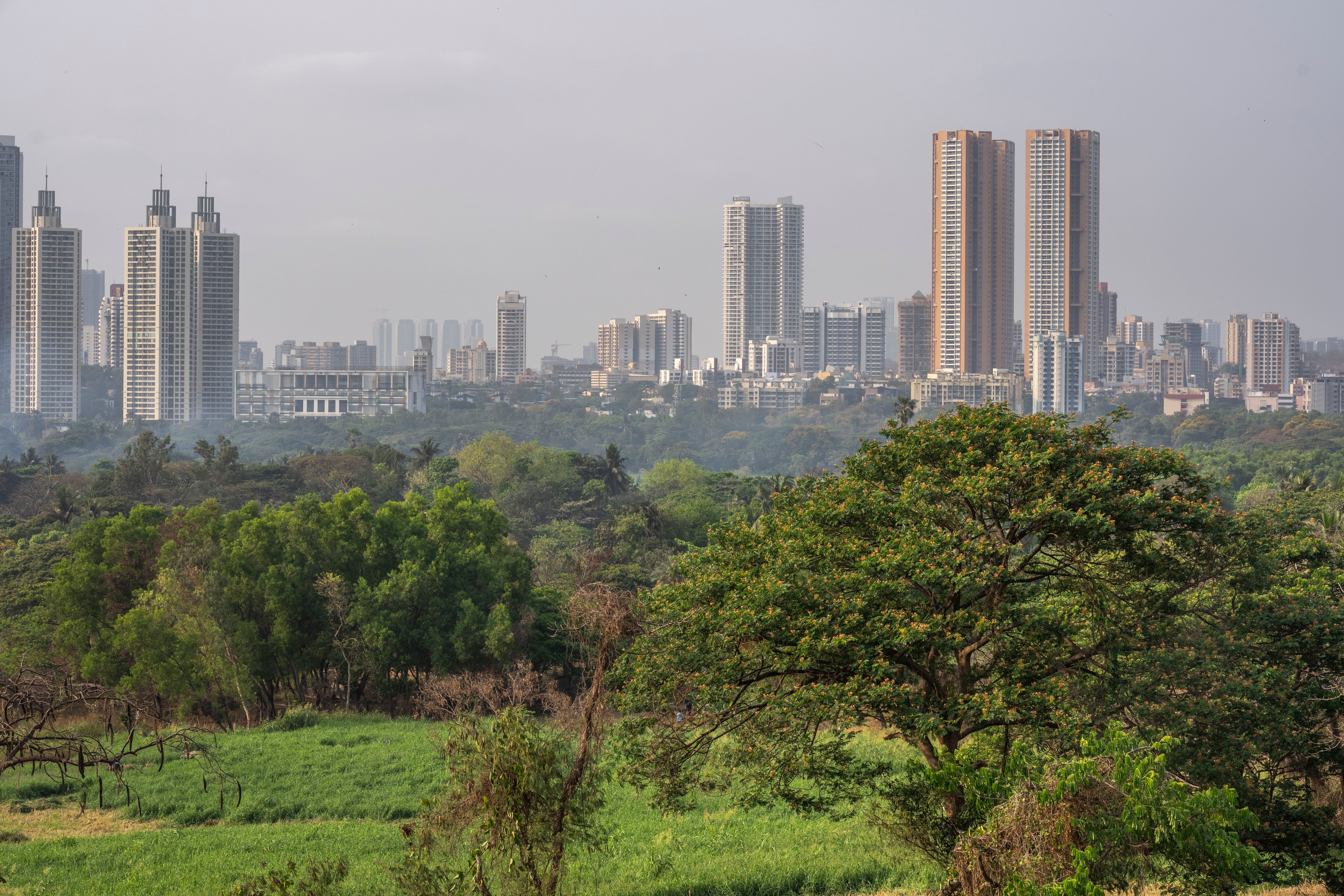 Utah keeps up its push for foreign trade opportunities. Next up, India 