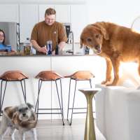 Financial strain: Inflation and job market challenges hit home