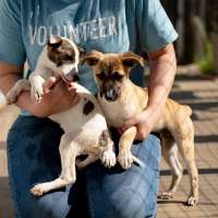 The Humane Society of Utah donation match with KSL was a huge success