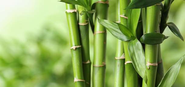 The game-changing material that's making athletic wear smarter