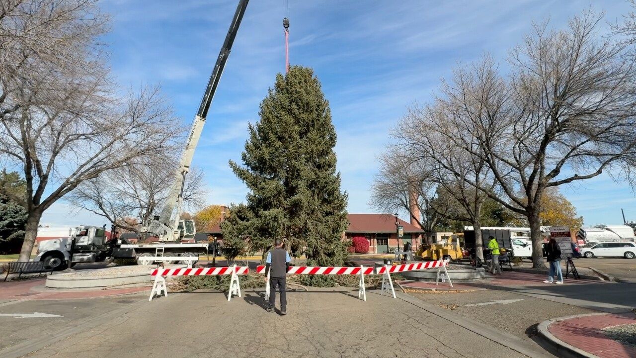 Nampa, Idaho, cuts down 60-foot evergreen from neighborhood yard as city's Christmas tree