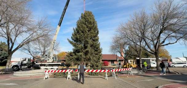 Nampa, Idaho, cuts down 60-foot evergreen from neighborhood yard as city's Christmas tree