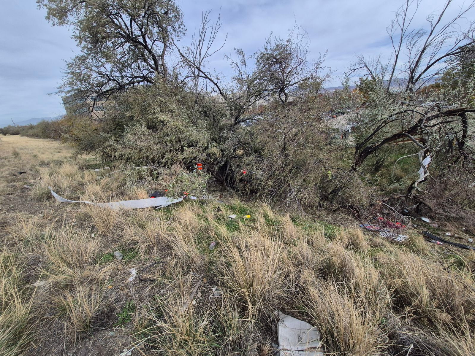 Woman killed in crash on I-215 near Salt Lake airport