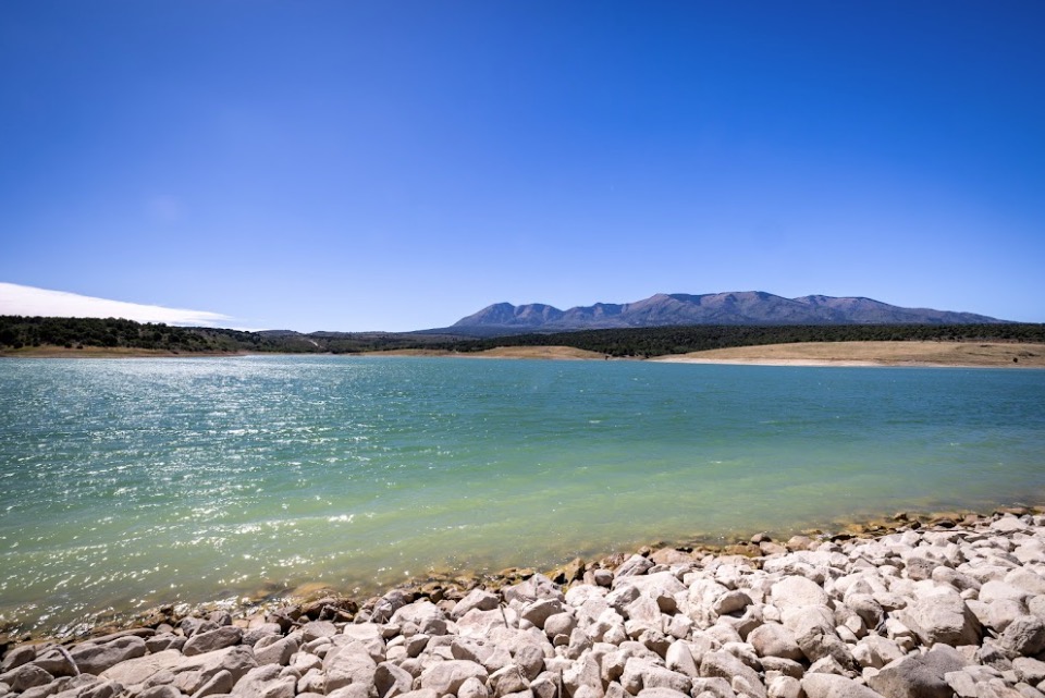 Fish species illegally introduced at Utah reservoir within Colorado River drainage