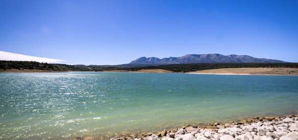 Fish species illegally introduced at Utah reservoir within Colorado River drainage