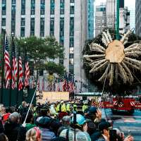 Rockefeller Center Christmas tree arrives in Manhattan, kicking off New York's holiday season