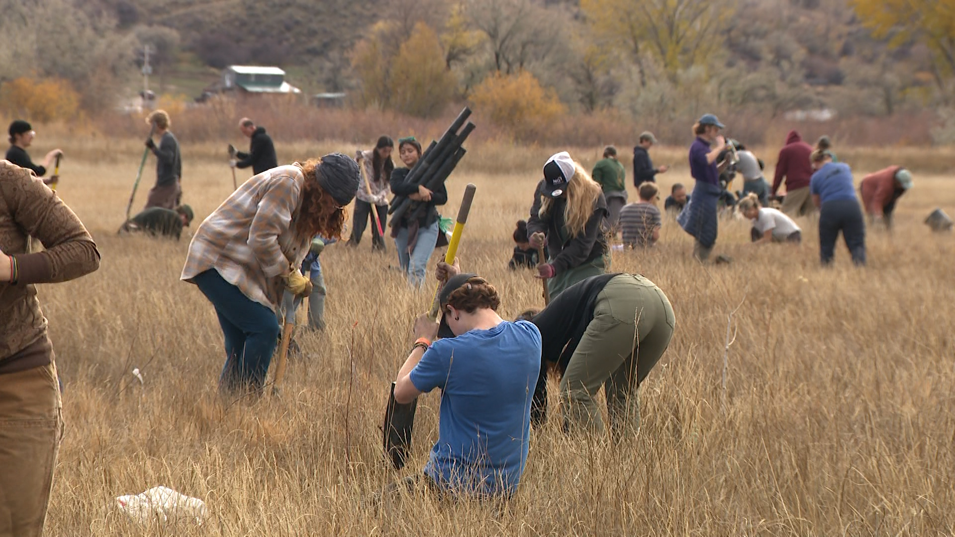 Volunteers help plant up to 50,000 trees this weekend at the Bear River Massacre Site