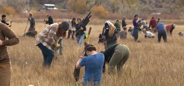 Volunteers help plant up to 50,000 trees this weekend at the Bear River Massacre Site