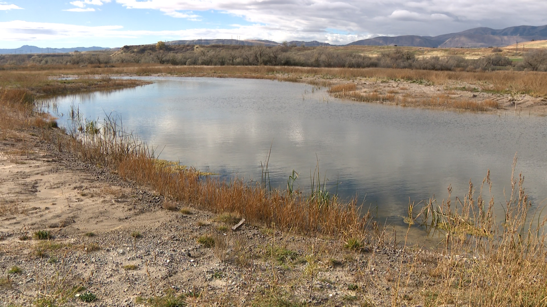 A wetland pond near the Bear River Massacre site that was restored in fall of 2024. Another restoration project led by the Northwestern Band of the Shoshone Nation is underway.