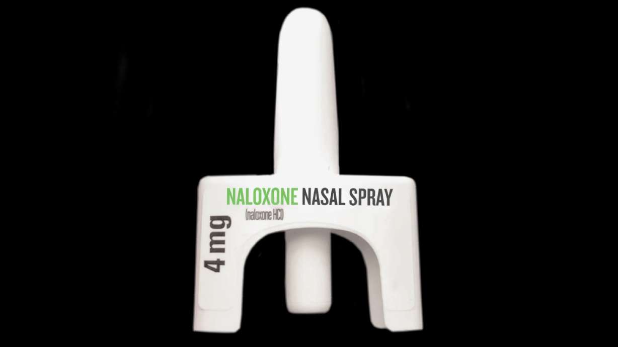 The Salt Lake County Health Department wrapped up its second annual Resource Fair on Saturday, focusing on raising awareness to what's already available — specifically naloxone kits.