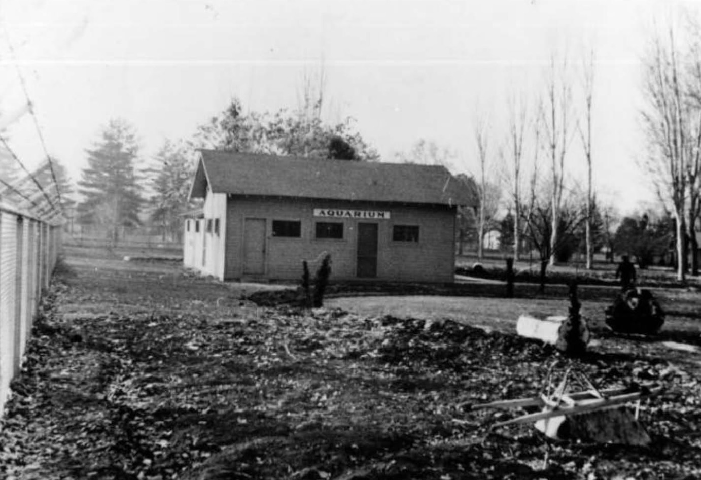 An undated photo of Tracy Aviary's historic office building when it served as an aquarium. The building was part of the original aviary when it opened in 1938.