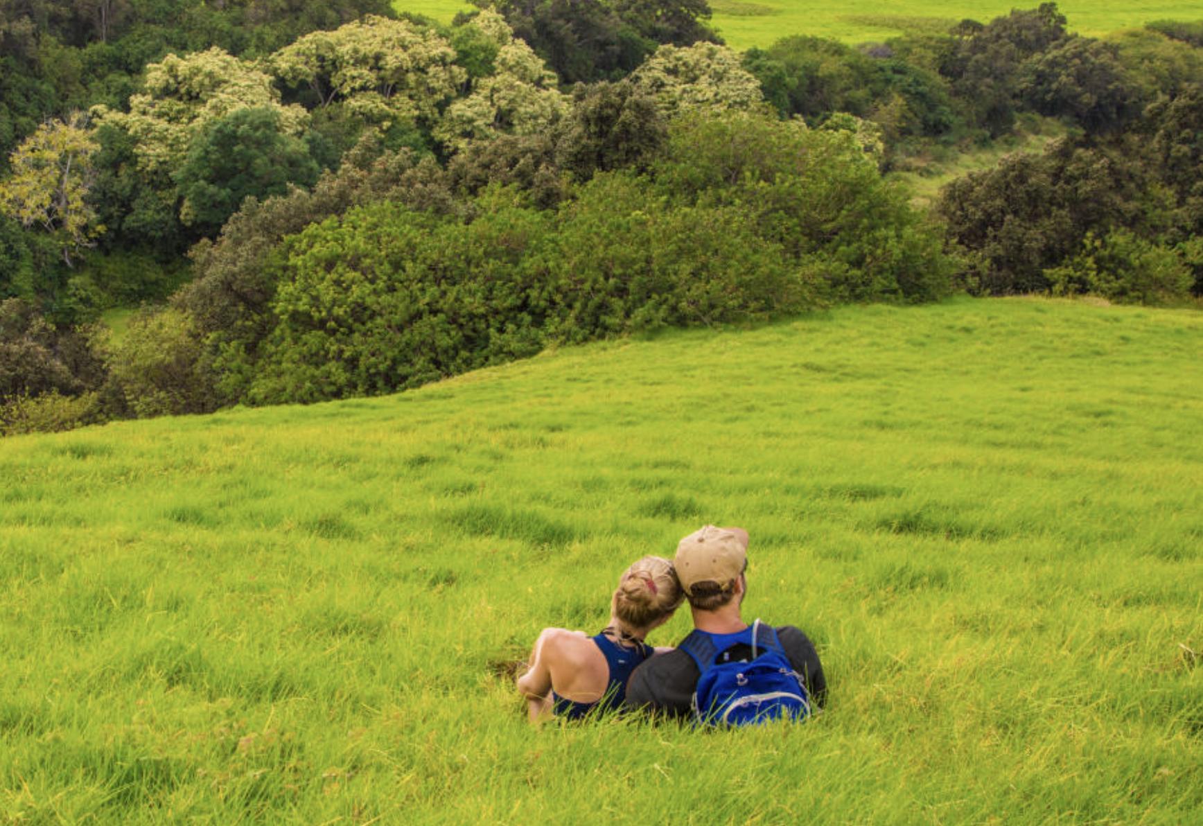 From snowflakes to shorelines: Local tour company wants you to discover Hawaii