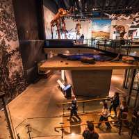 Utah Mammoth embraces its prehistoric history with new museum 'quest' for fans