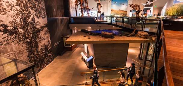 Utah Mammoth embraces its prehistoric history with new museum 'quest' for fans