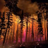 Saving landscapes, wildlife, watersheds and more