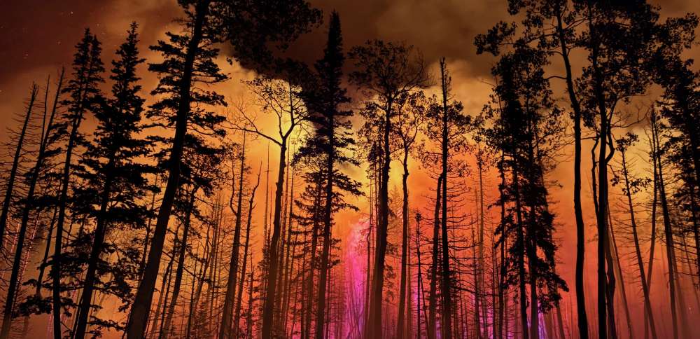 Saving landscapes, wildlife, watersheds and more