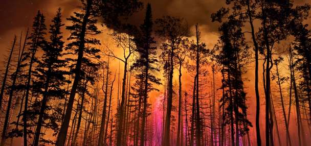 Saving landscapes, wildlife, watersheds and more