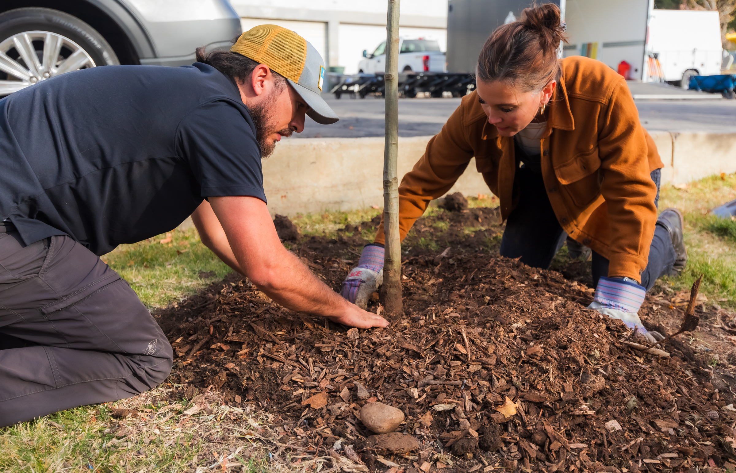 Salt Lake City honors 'quiet majority' by completing tree restoration 5 years after storm
