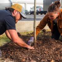 Salt Lake City honors 'quiet majority' by completing tree restoration 5 years after storm