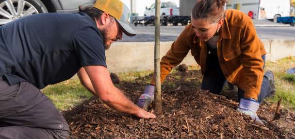 Salt Lake City honors 'quiet majority' by completing tree restoration 5 years after storm