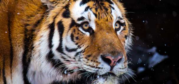 Top Utah story anchor