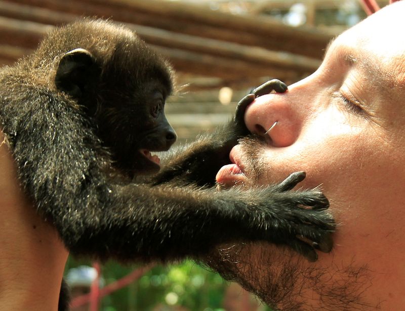 First kiss was 20 million years ago by early primates, scientists say