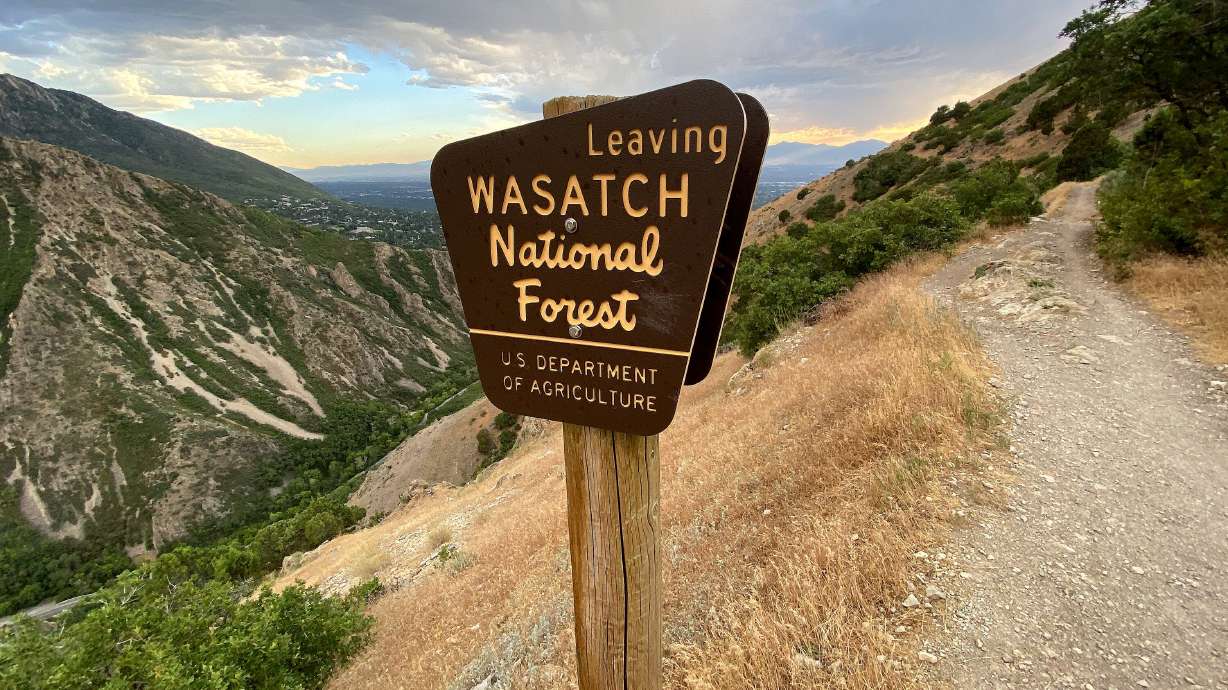 States should have more oversight over public lands management, like the Wasatch National Forest, according to top lawmakers who say the federal government has become too inefficient and removed from local interests.
