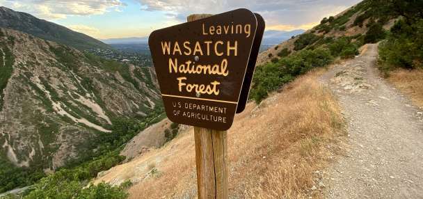 Top Environment story anchor