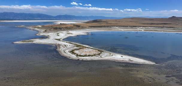 Top Features story anchor