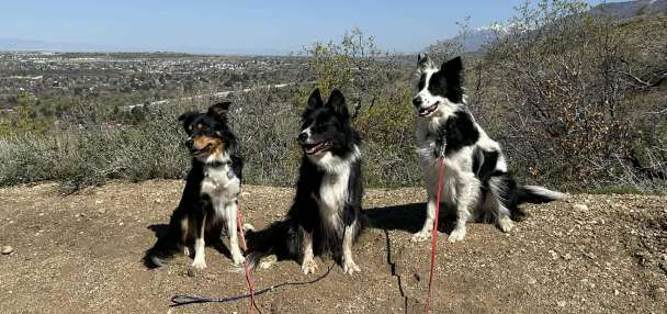 Top Features story anchor