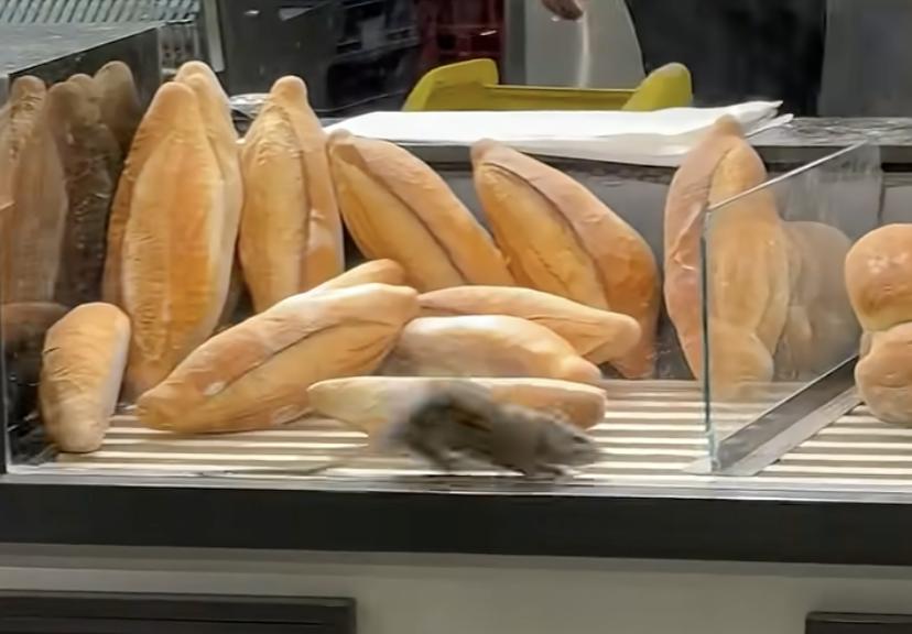 Have You Seen This? Bakery gets an unwelcome visitor