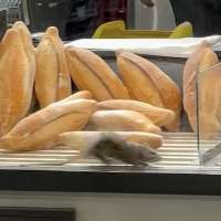 Have You Seen This? Bakery gets an unwelcome visitor