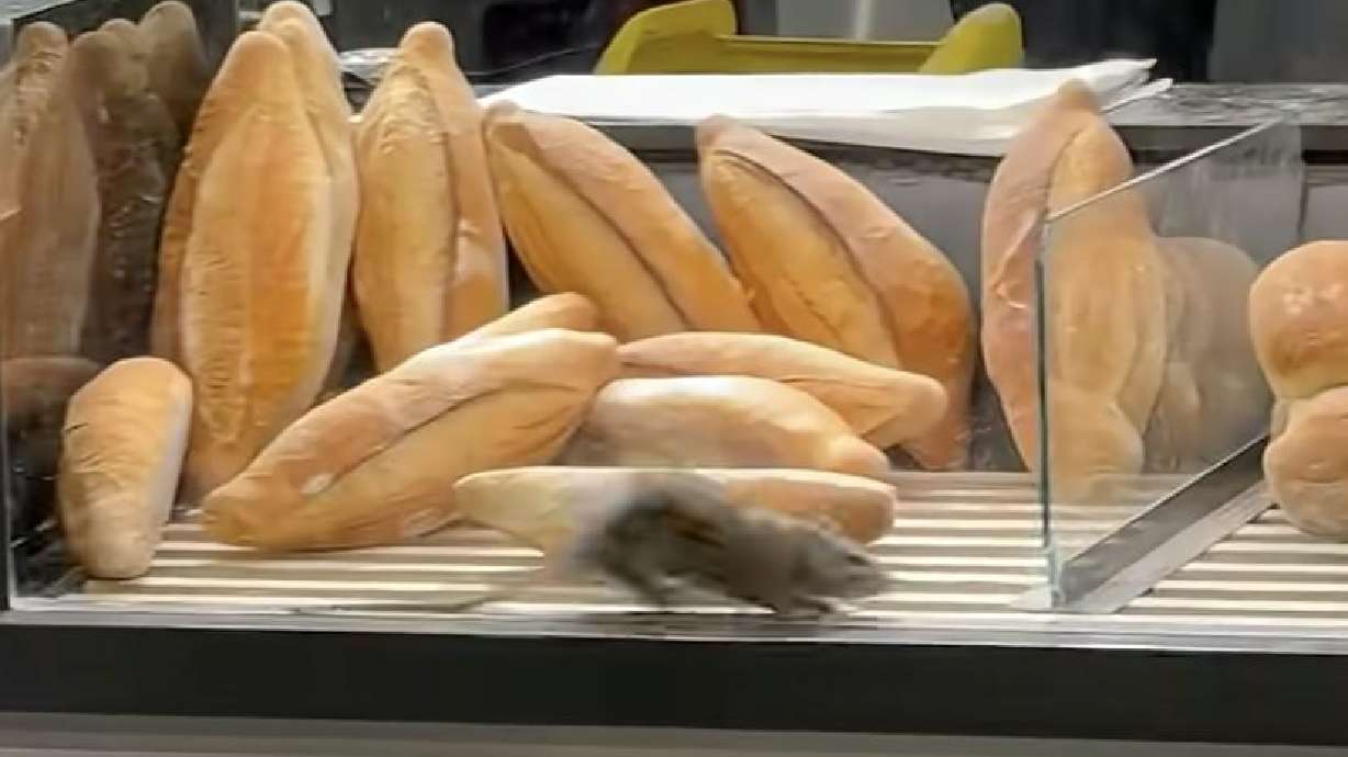 A bakery in Bucharest gets an unwanted visitor.