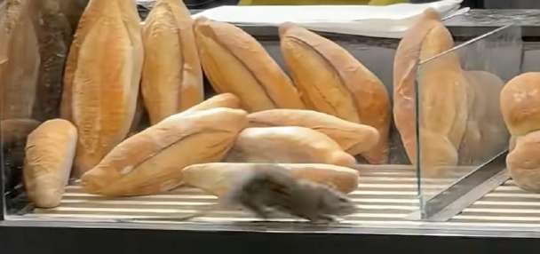 Top Features story anchor