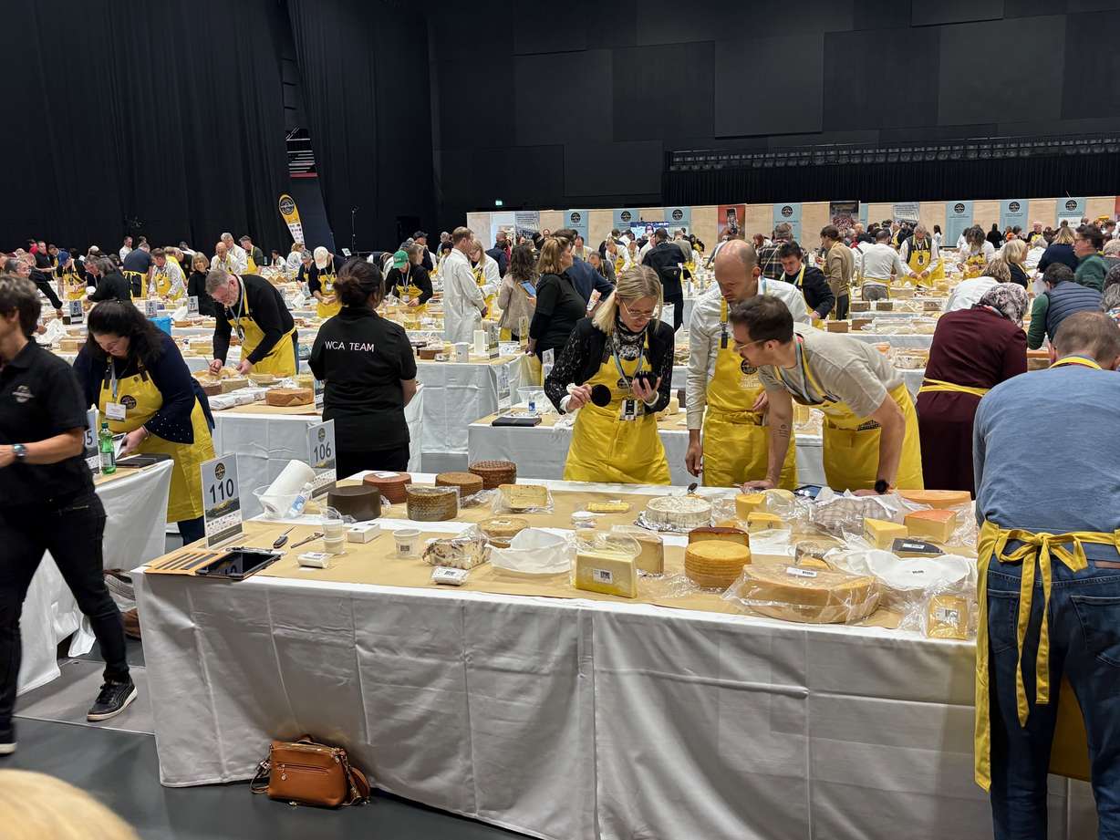Judging tables with a variety of cheeses are pictured at the 2025 World Cheese Awards in Bern, Switzerland. Beehive Cheese took home five bronze awards.