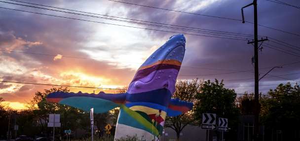 Top Features story anchor