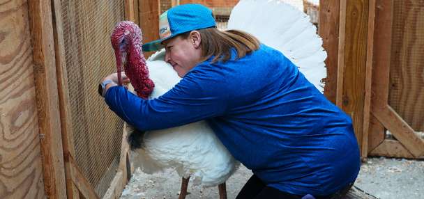 Top U.S. story anchor